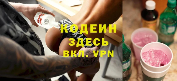 гашик Алзамай