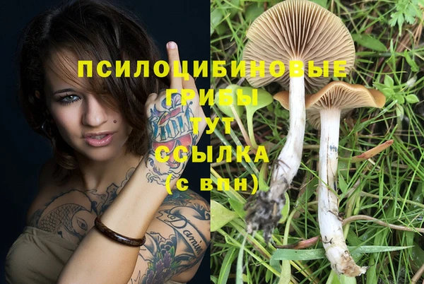 гашик Алзамай