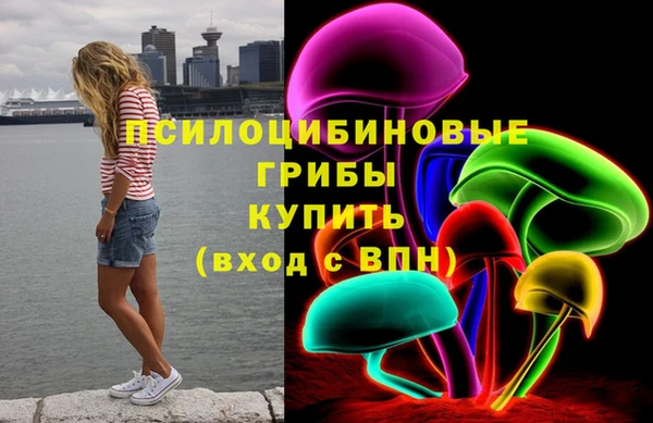 гашик Алзамай