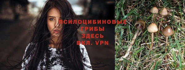 круглые Алексин