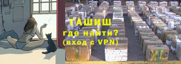 гашик Алзамай