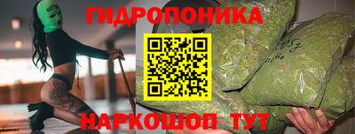 эйфоретик Баксан