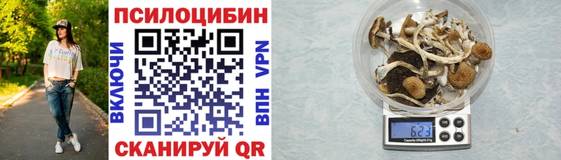 блэк спрут как войти даркнет сайт Киреевск Галлюциногенные грибы Psilocybe
