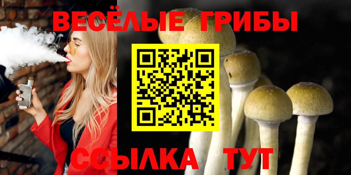 Псилоцибиновые грибы GOLDEN TEACHER  Вход с VPN  Галлюциногенные грибы прущие грибы  Киреевск 