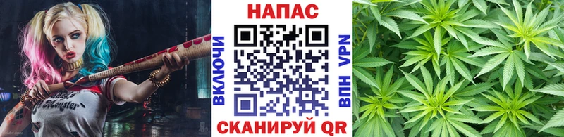 Бошки марихуана OG Kush  Киреевск 